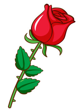 National Women's Month